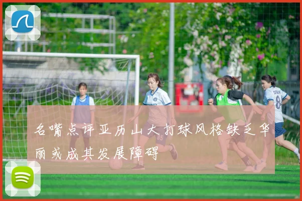 名嘴点评亚历山大打球风格缺乏华丽或成其发展障碍