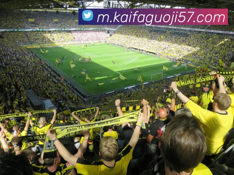 凯发国际服务体系